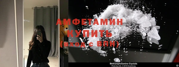 сатива Сосновый Бор