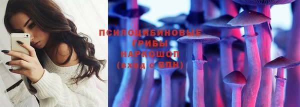 прущие грибы Сосновоборск