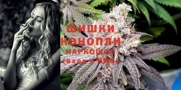 прущие грибы Сосновоборск