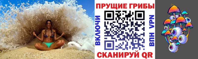 Псилоцибиновые грибы GOLDEN TEACHER  купить наркотик  Демидов 